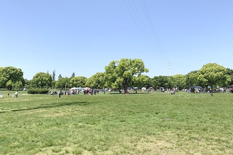 リニューアルでさらに魅力を増す「花博記念公園鶴見緑地」の中央にある「大芝生」